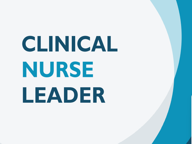 News Masters and DNP Competencies