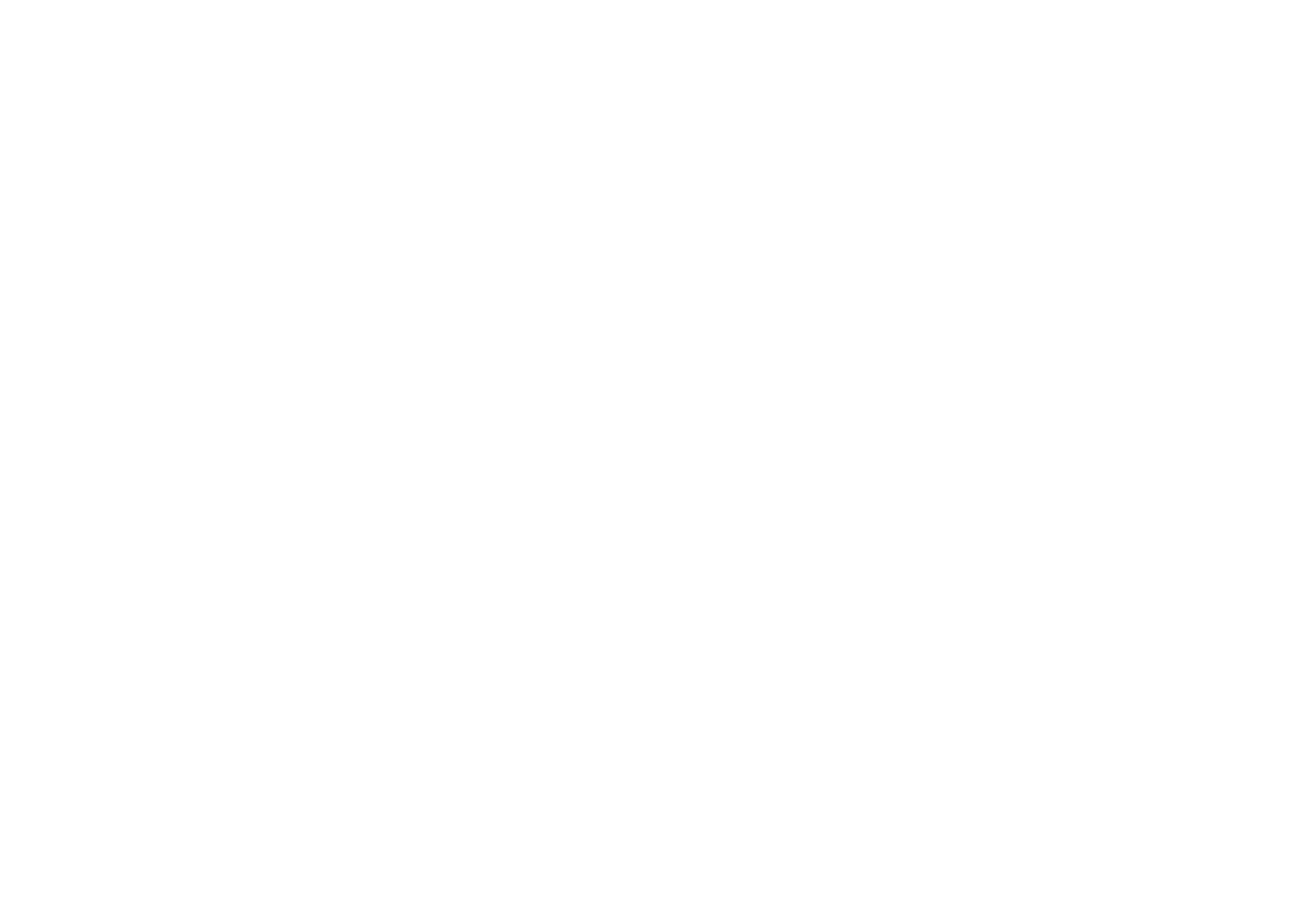 Diversity Leadership Institute