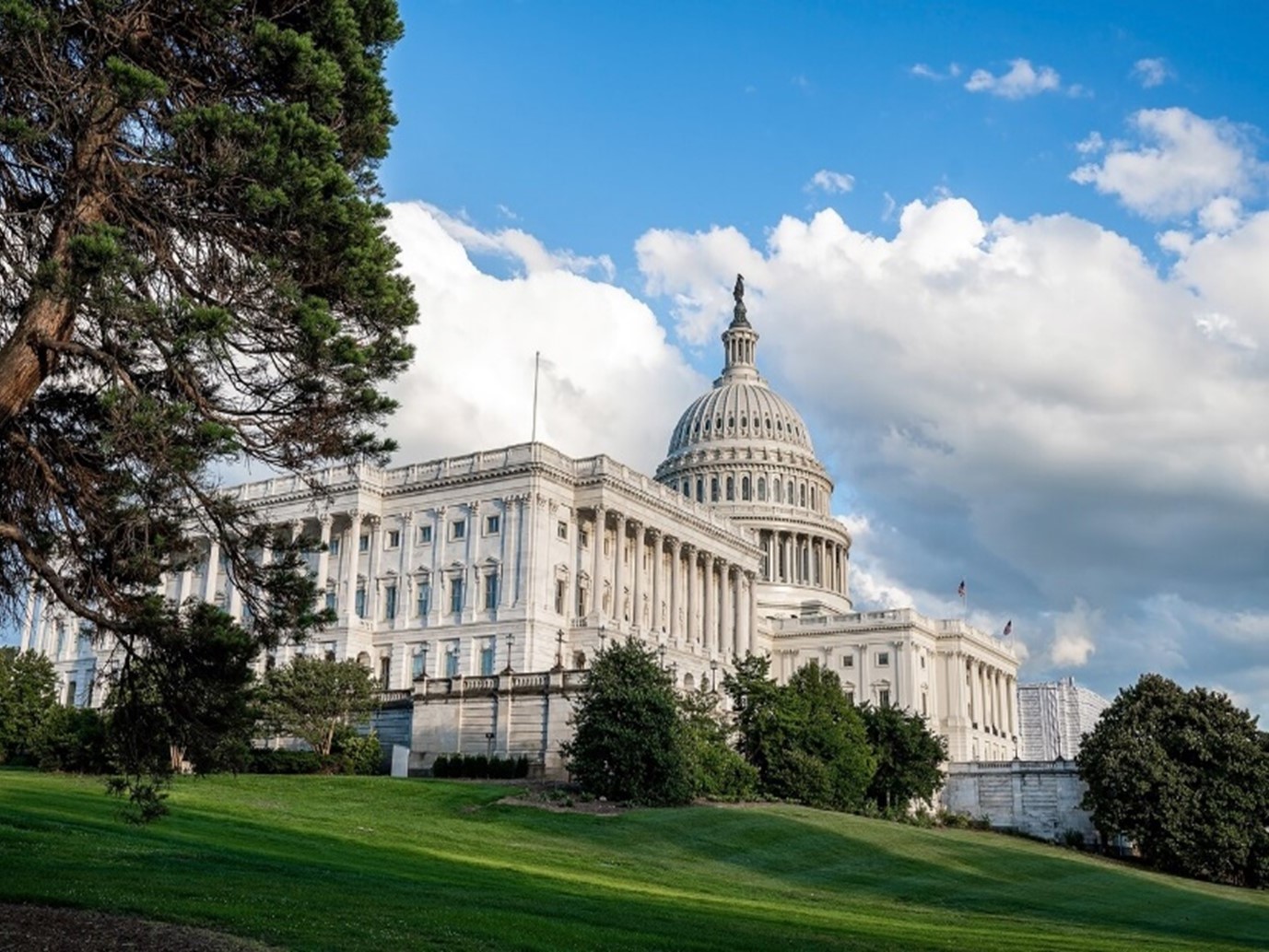 Capital building