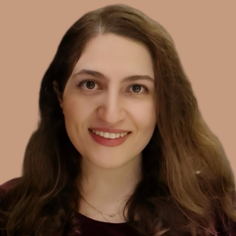 Profile picture for Elham Samami