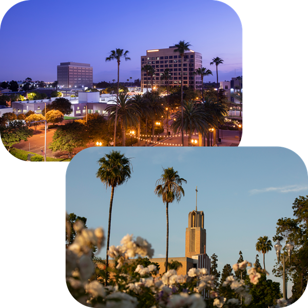 Image of Anaheim skyline and flowers and palm trees in front of building