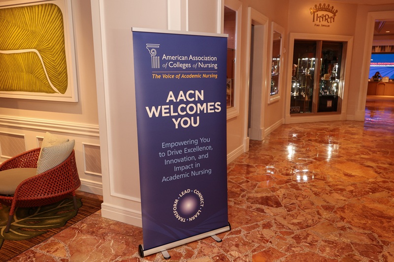 Academic nursing leaders collaborating at a conference