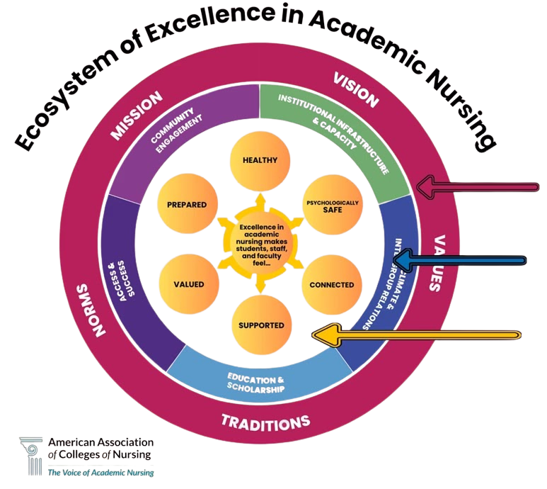 Ecosystem of Excellence in Academic Nursing