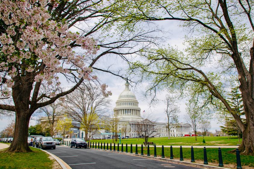 image of US Capitol Building in the Spring