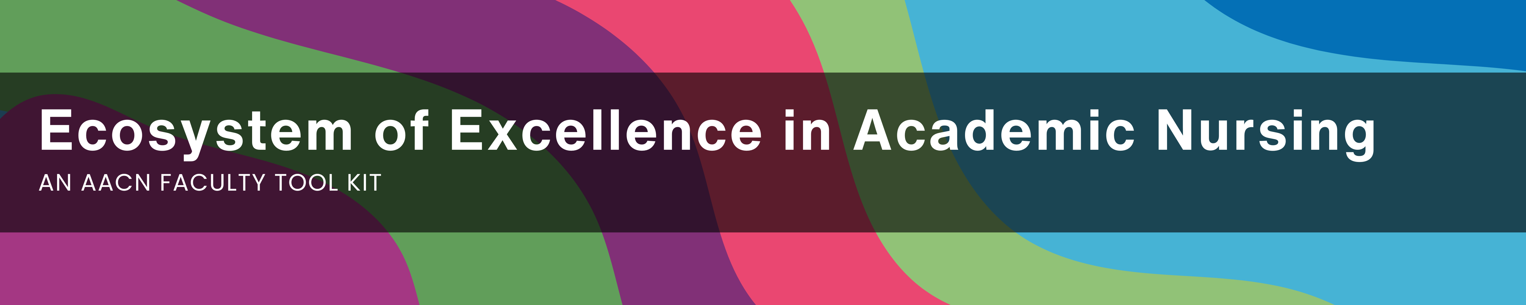 Ecosystem of Excellence in Academic Nursing - An AACN Faculty Tool Kit