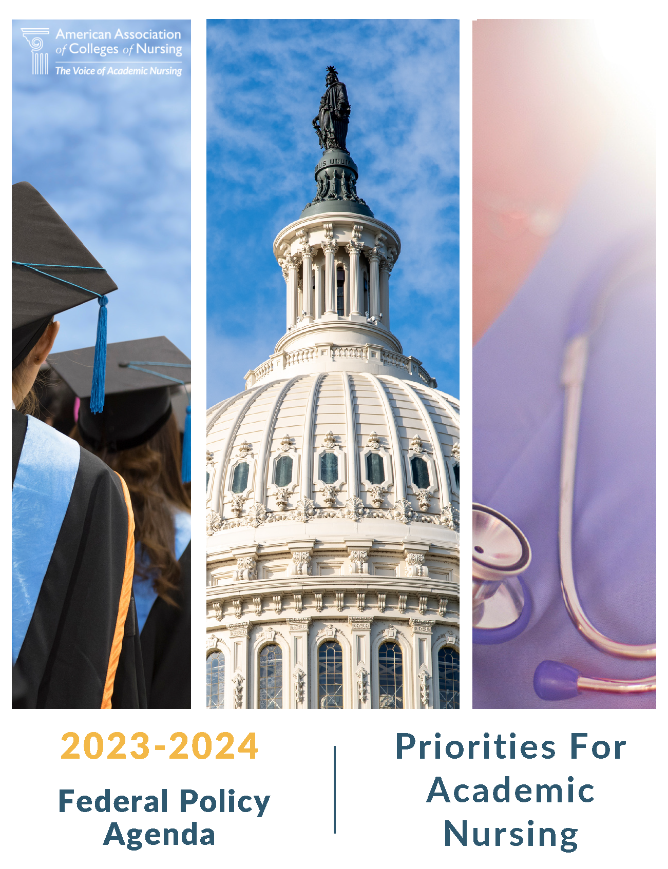 Federal Policy Agenda image Federal Policy Agenda image