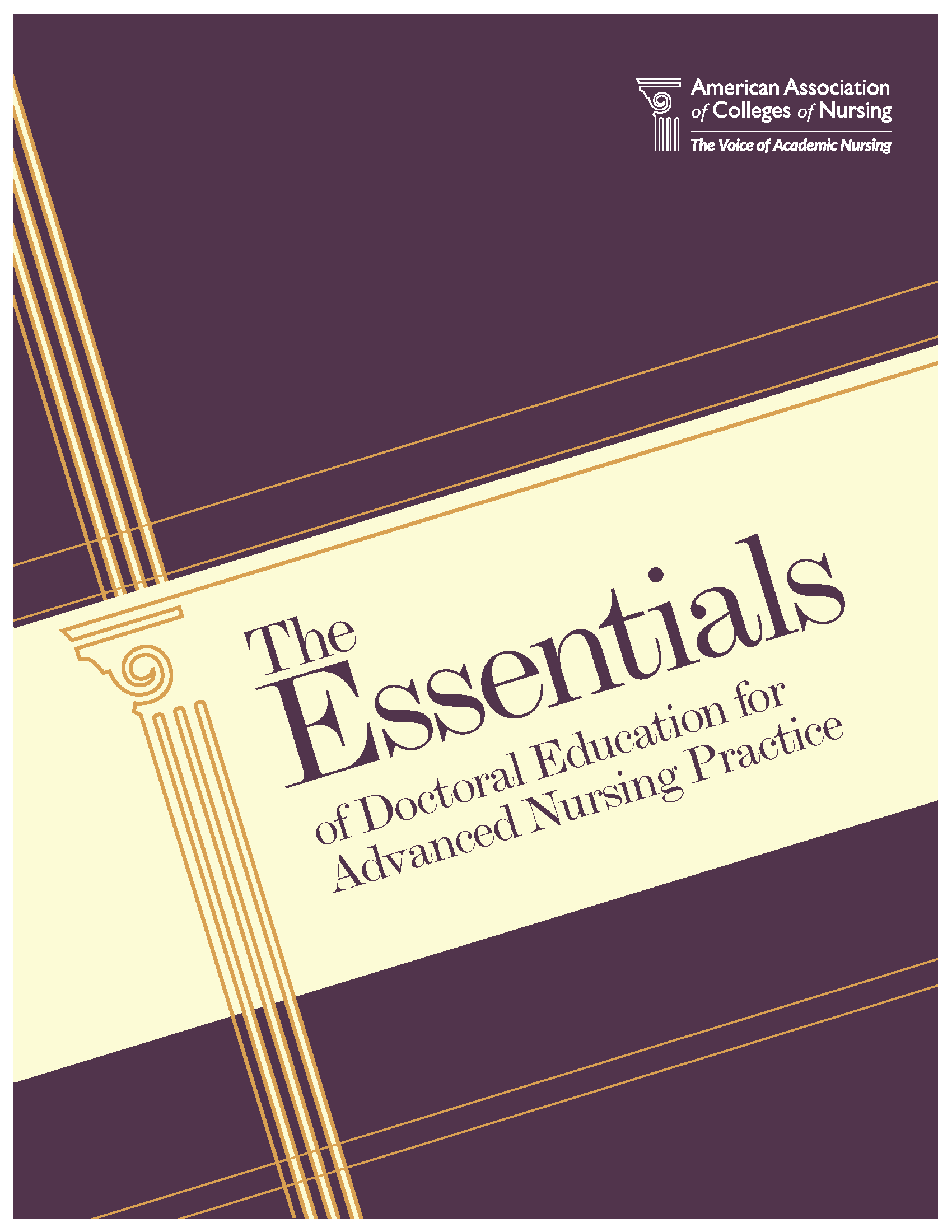 cover of 2006 essentials of doctoral education for advanced nursing practice