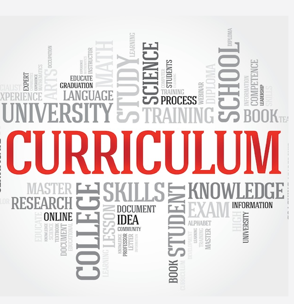 CURRICULUM word cloud, education business concept