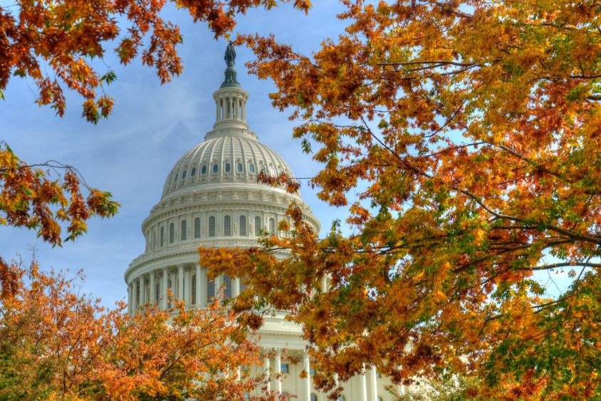 ariel view of washington, dc in the autumn