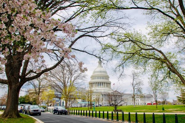 photo of US Capitol Building in the Spring